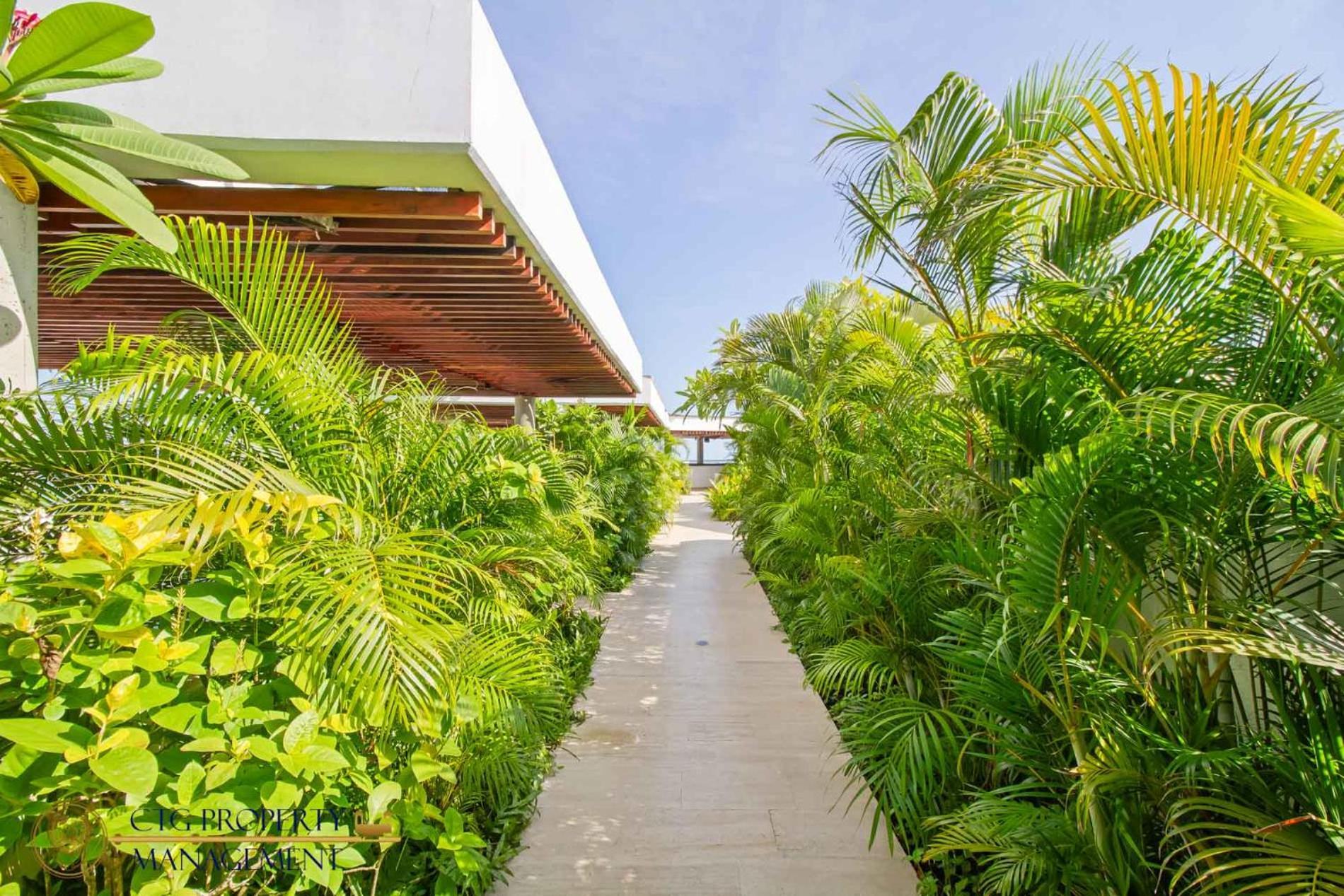 Martinique Cartagena, Beautiful 1 & 2 Bedroom Apartments מראה חיצוני תמונה